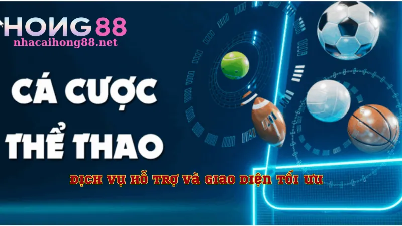 Dịch vụ hỗ trợ và giao diện tối ưu