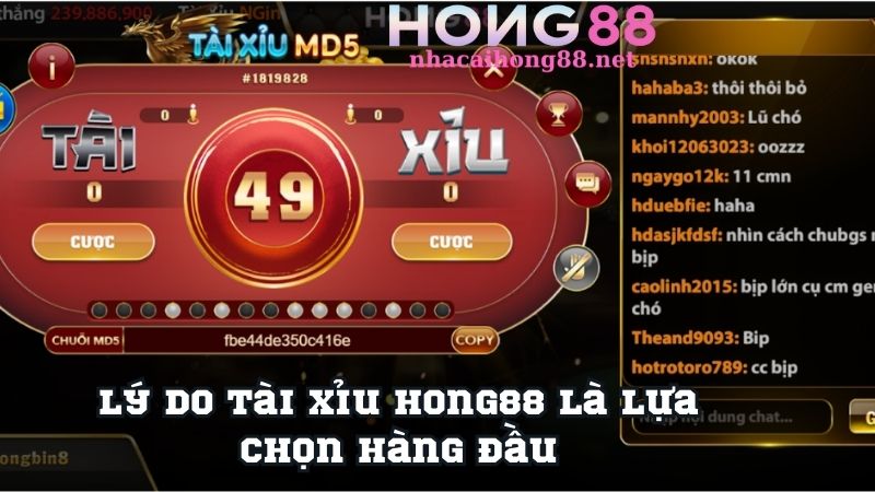 Lý do Tài xỉu Hong88 là lựa chọn hàng đầu