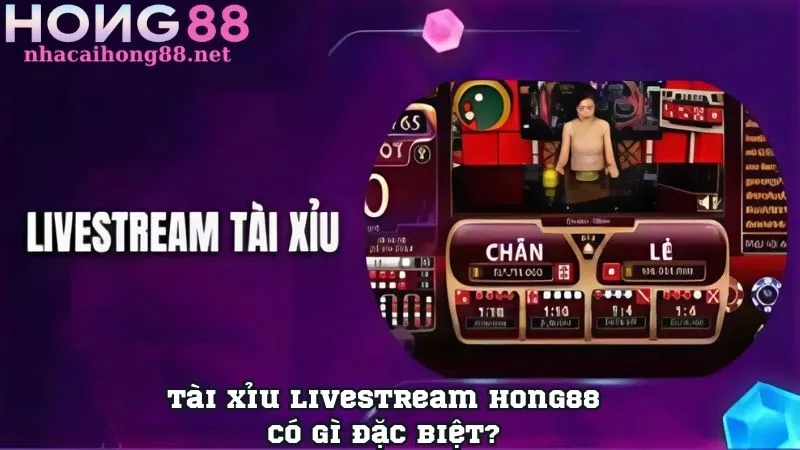 Tài xỉu livestream Hong88 có gì đặc biệt?