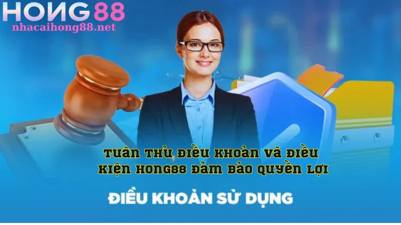 Tuân thủ điều khoản và điều kiện Hong88 đảm bảo quyền lợi